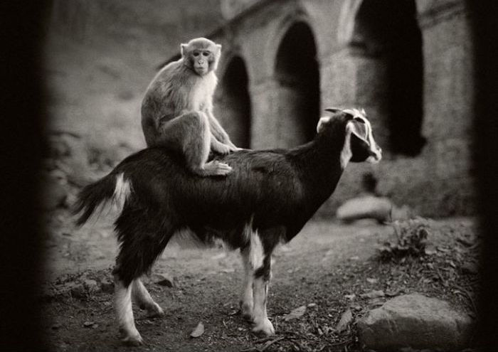 © Pentti Sammallahti