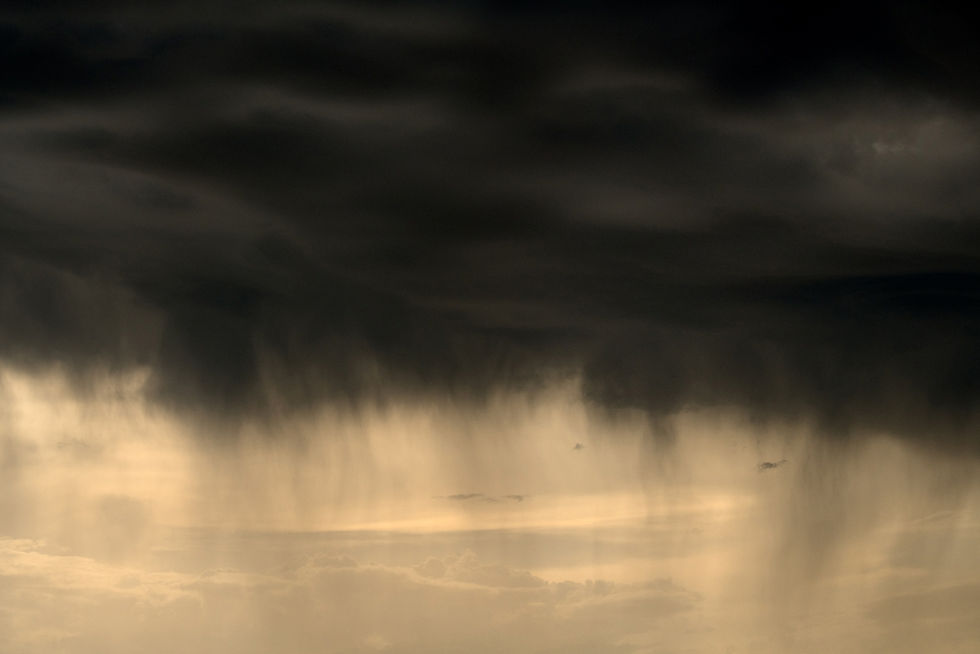 © Jean-Michel André