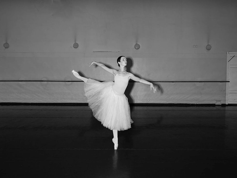 © Aria Shahrokhshahi