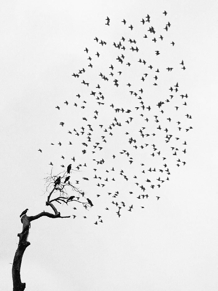 © Pentti Sammallahti