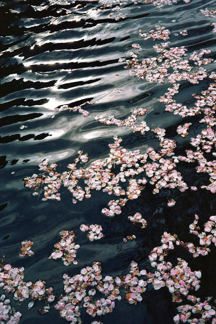 © François Fontaine