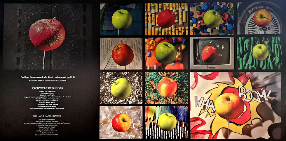 Pop Nature   Po Nature, Pomme Nature # Ploërmel, France, 2025