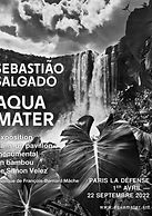 _affiche Aqua Mater.jpg