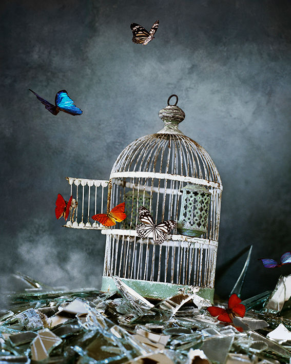 © Vee Speers