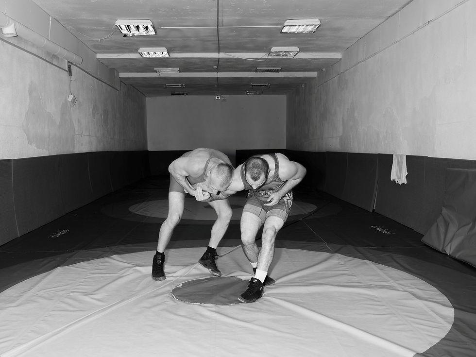 © Aria Shahrokhshahi