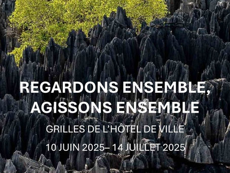 YANN ARTHUS-BERTRAND ▪ REGARDONS ENSEMBLE, AGISSONS ENSEMBLE