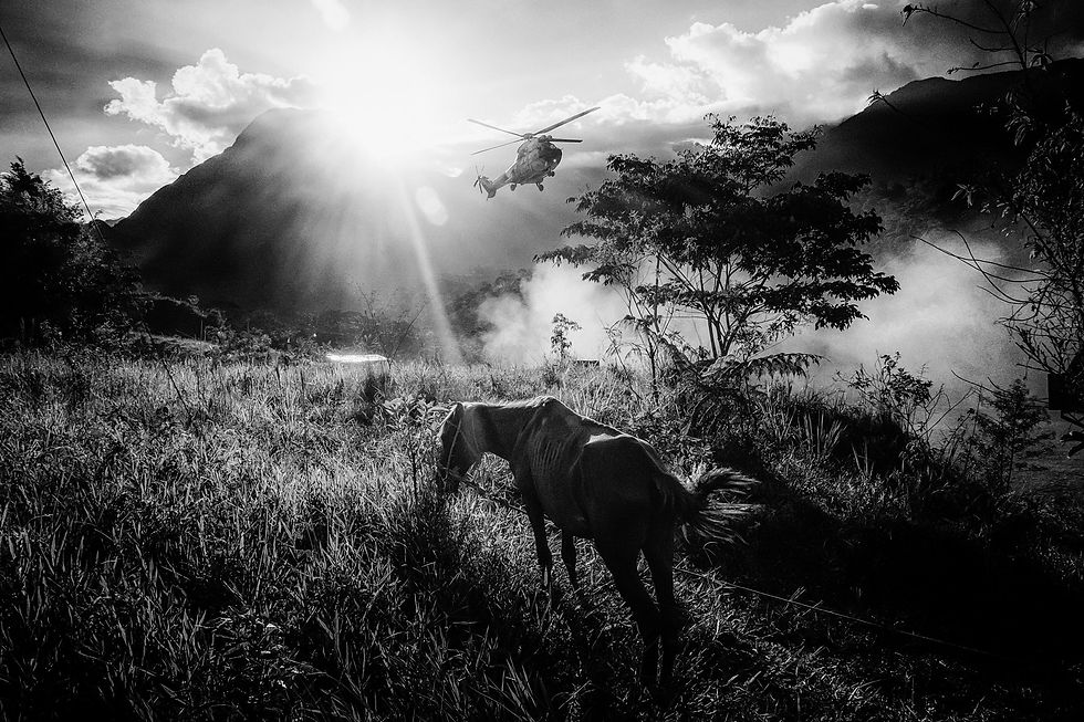 © Nicola Ókin Frioli