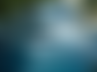 Enhance Your Vehicle's Look with Detailing