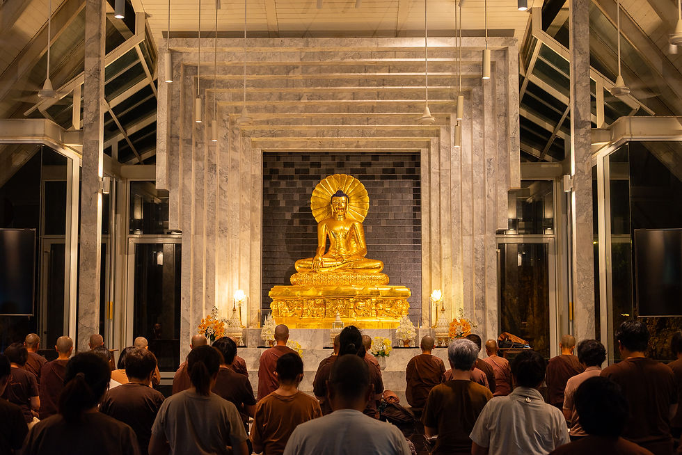 Experience Buddhism: Join Our Meditation Courses Today