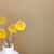 Yellow Flowers