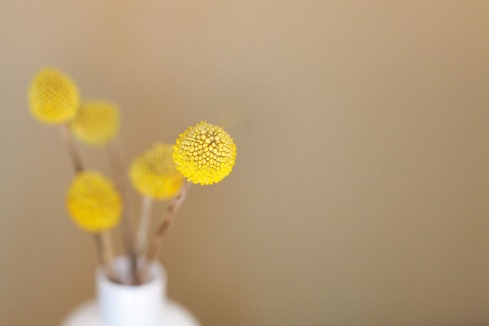 Yellow flowers
