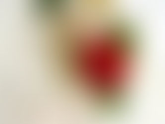 12月1月のlessonスケジュール