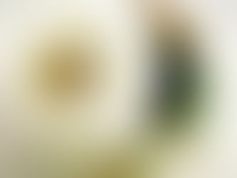 本日のlesson オーダー品