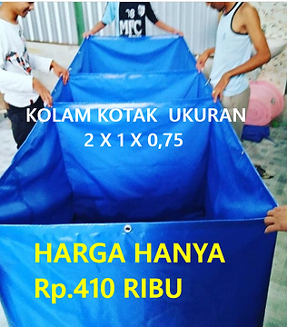 KOTAK-1.png