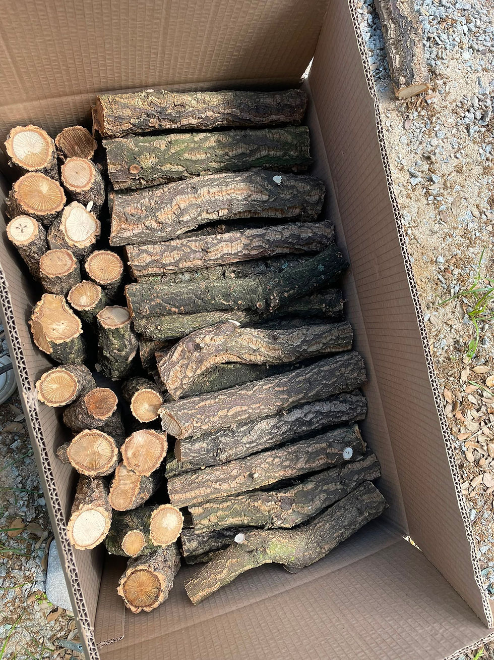 Cork Order Customization