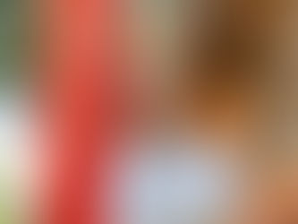 Esalq/USP reforça equipe científica do Regenera Cerrado e amplia pesquisas sobre saúde do solo no bioma