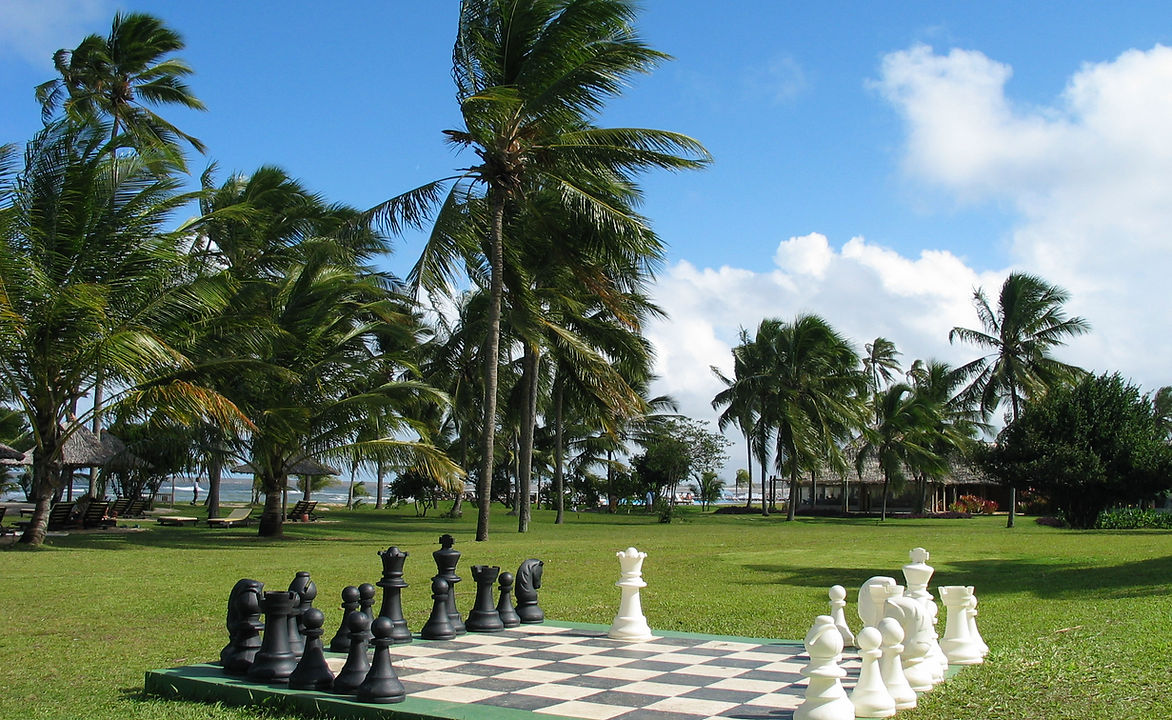 Giant_chess_board_on_grassed_area (1).jpg