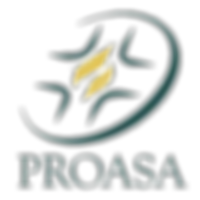 site%20proasa_edited