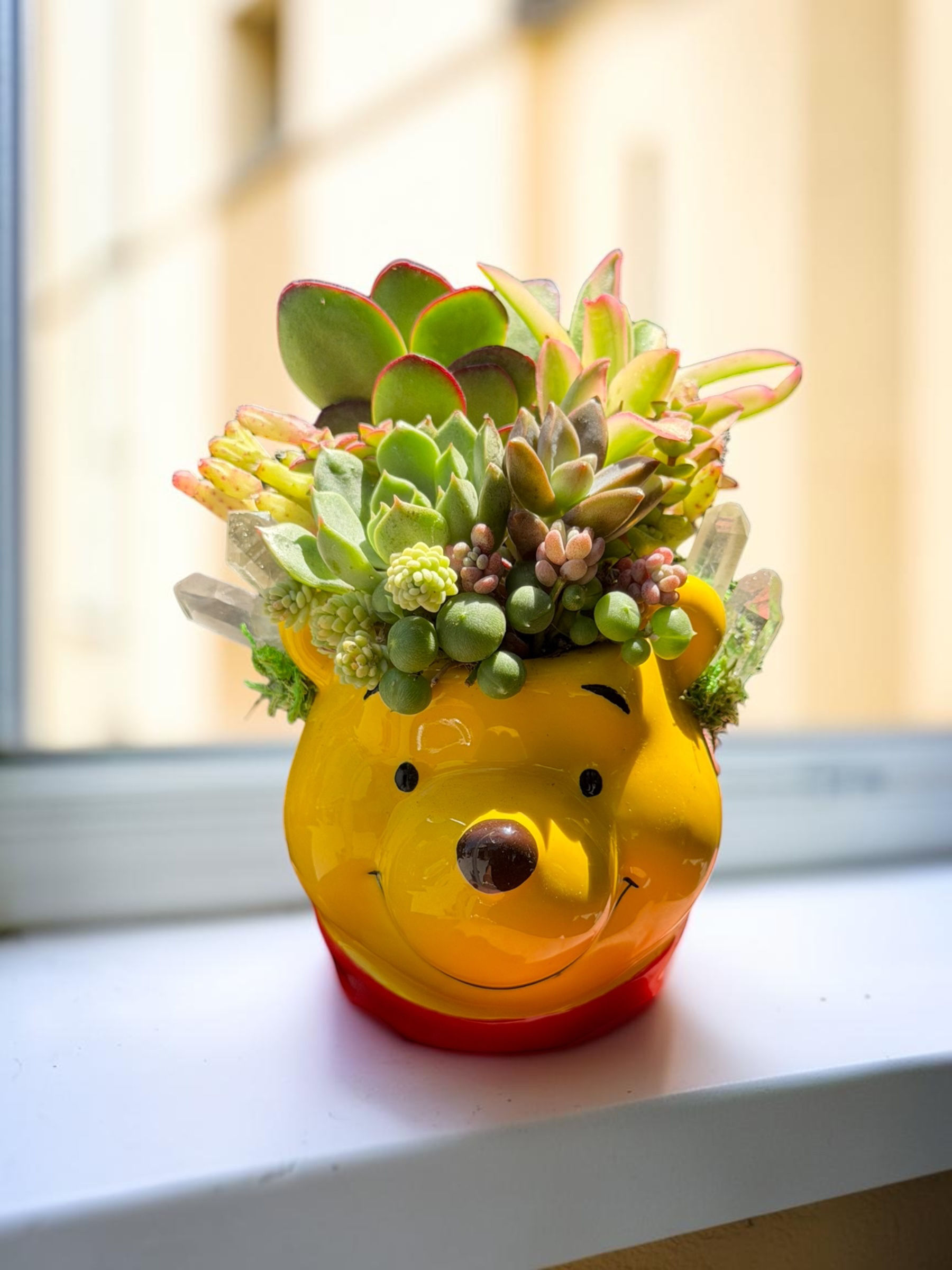Pooh Bear Succulent Design