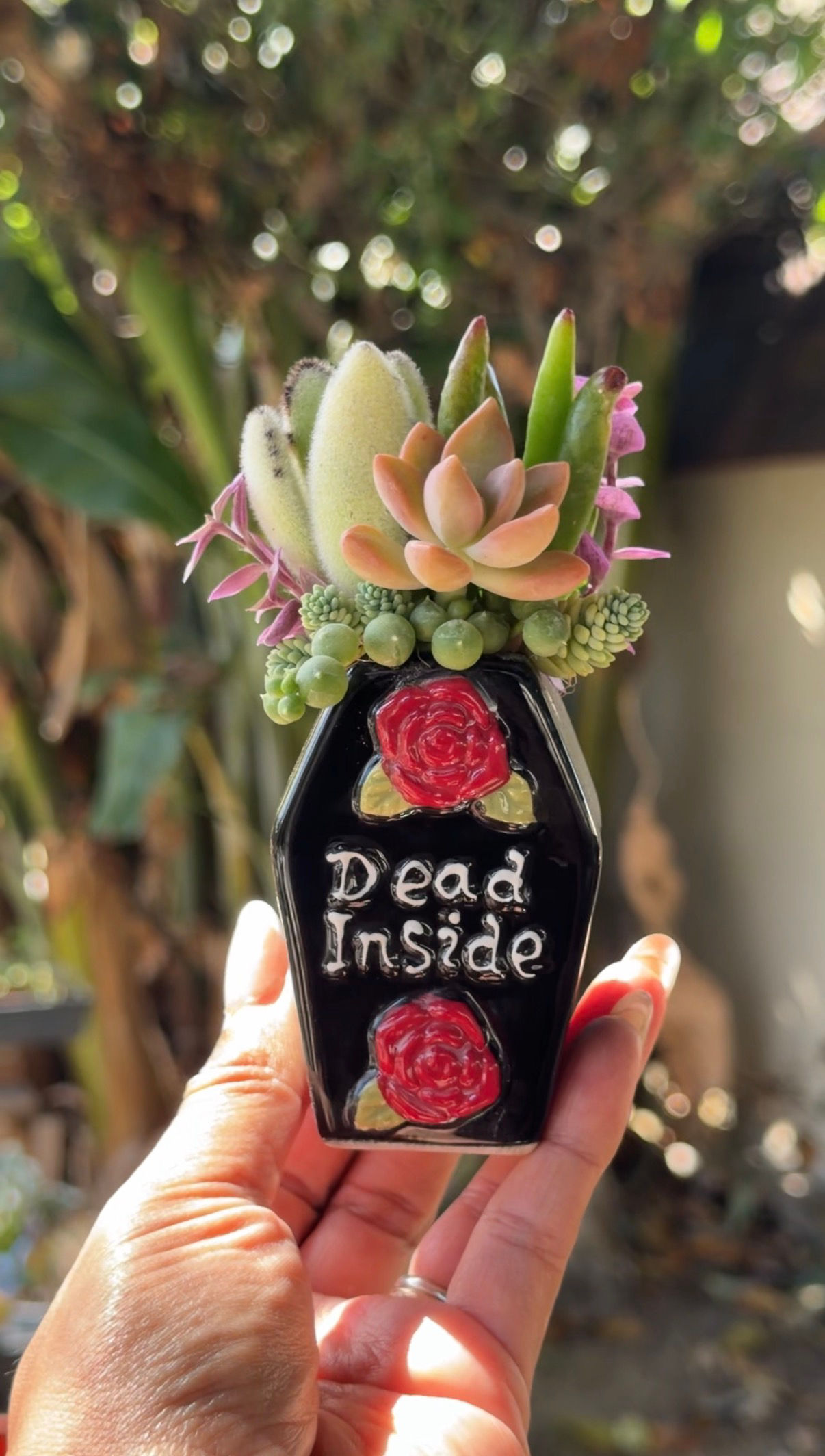 Dead Inside Spooky Succulent Design