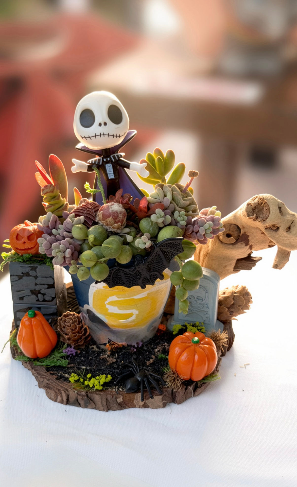 Jack Mini Garden