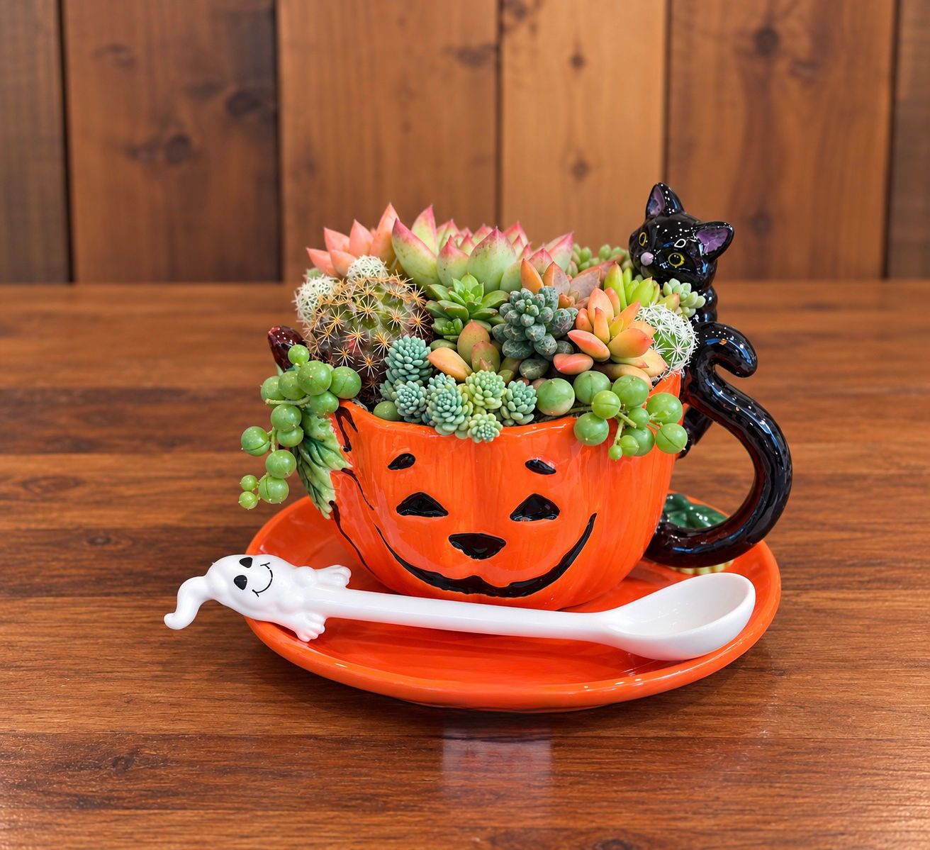 Pumpkin Cat Teacup Set Succulent Design