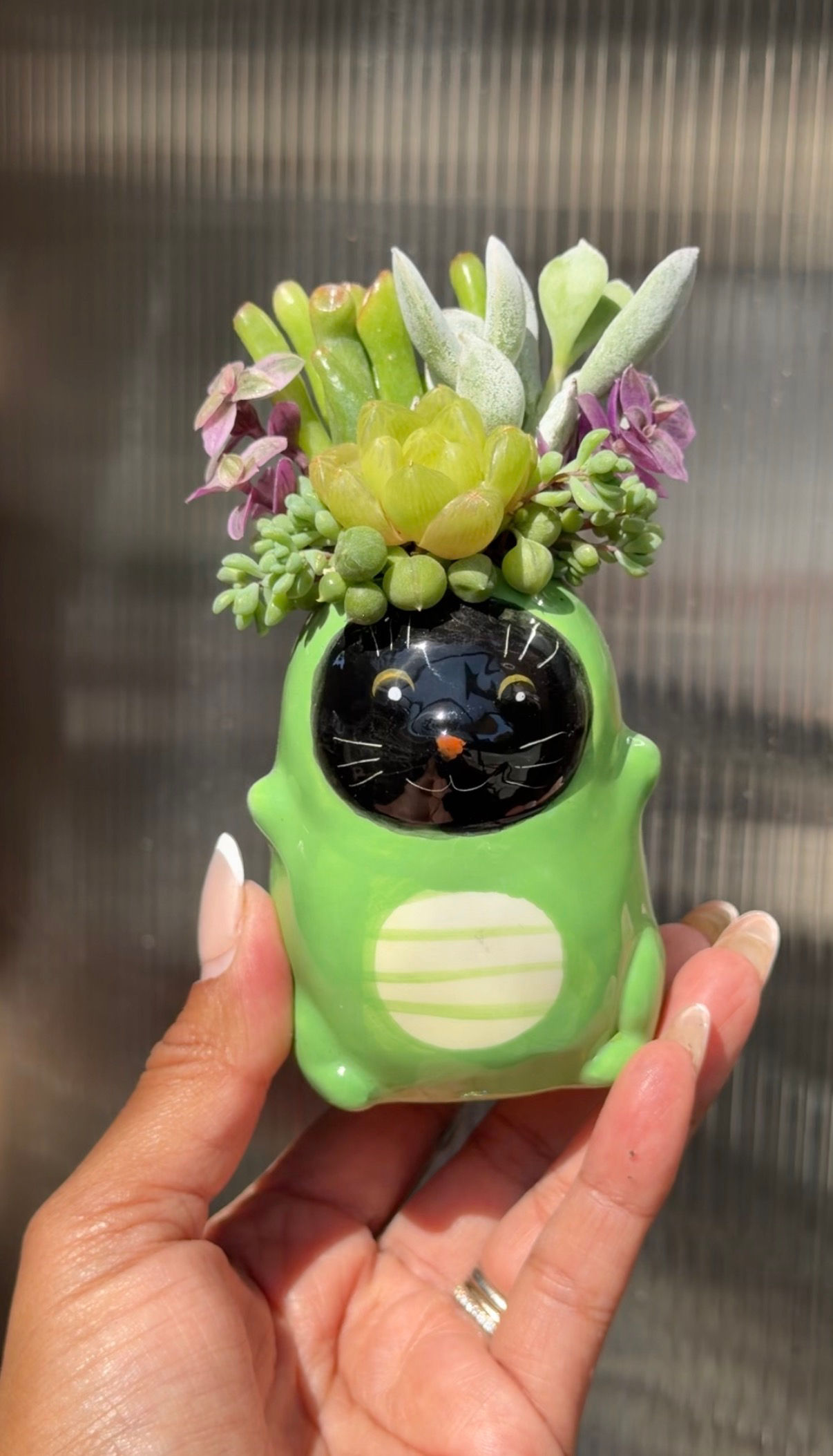 Dino Cat Spooky Succulent Design