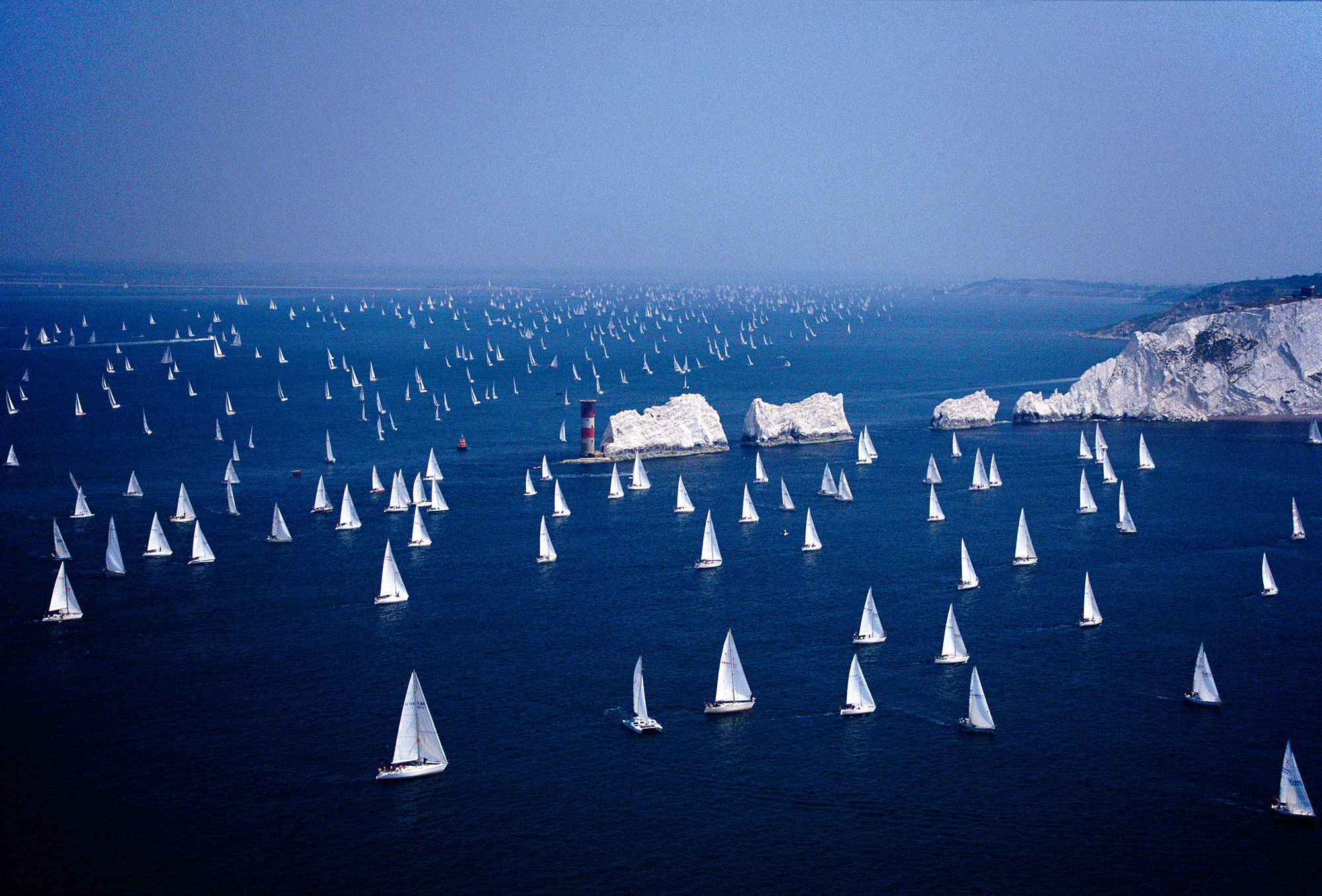 Butterflies of the Sea