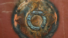 D91T0377 copy.jpg