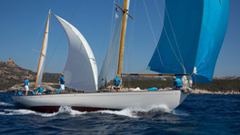 1S3B1178.jpg