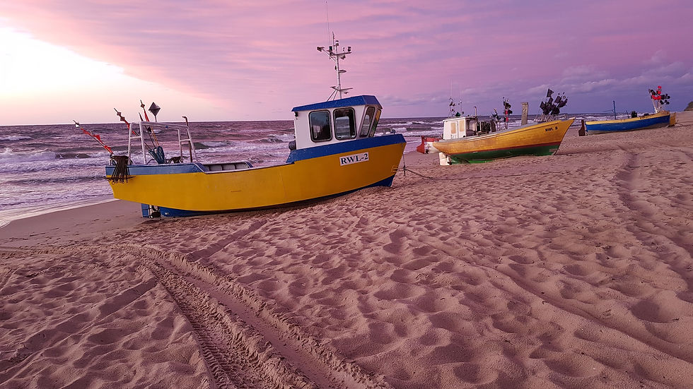 kutry_na_plaÅ¼y.jpg