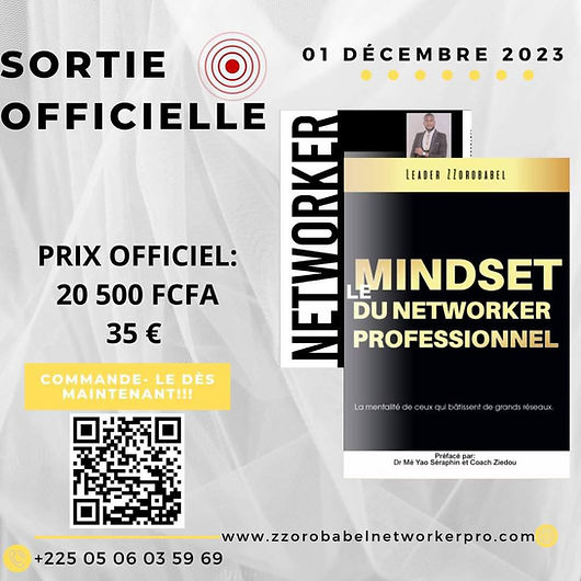 Le mindset du networker professionnel le prix.jpeg