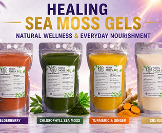 4 seamoss healing gels with elderberry, soursop, tumeric, and original.png