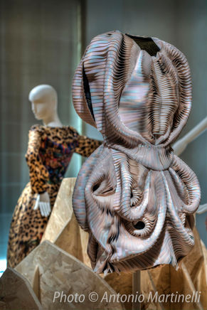 Jungle: 12 april 2017- 27 august 2017
la venaria reale, turin, italy