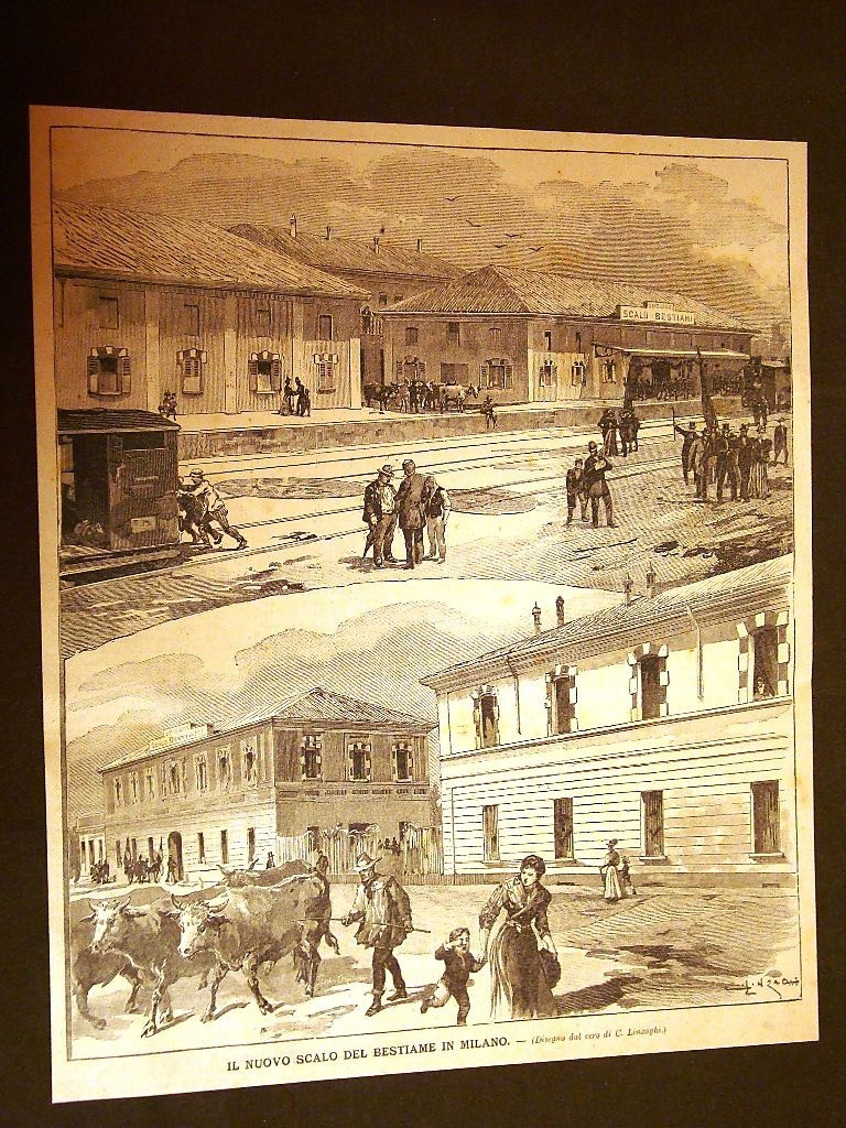 Lo scalo bestiame in una stampa dell’epoca