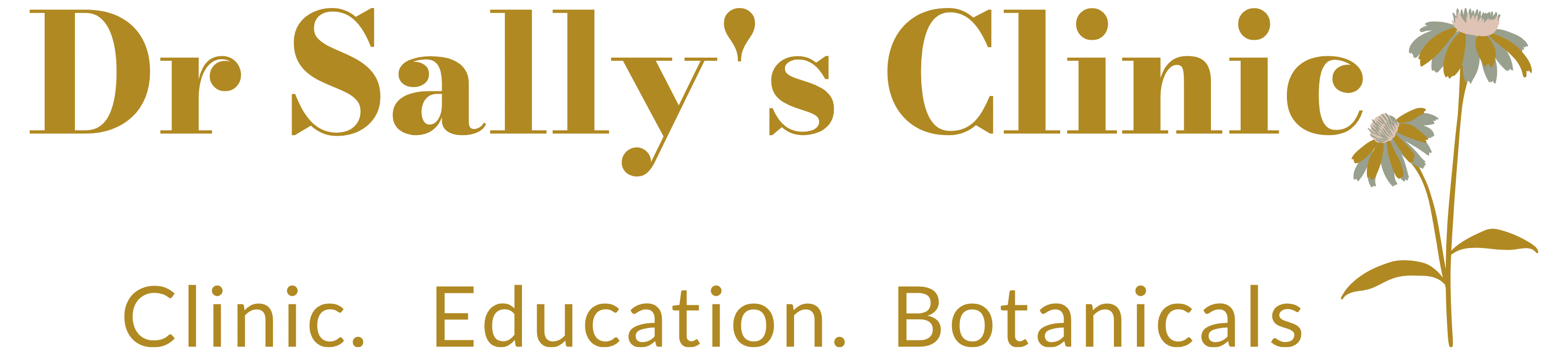 Dr Sally's Clinic - NCIFM - logotipo