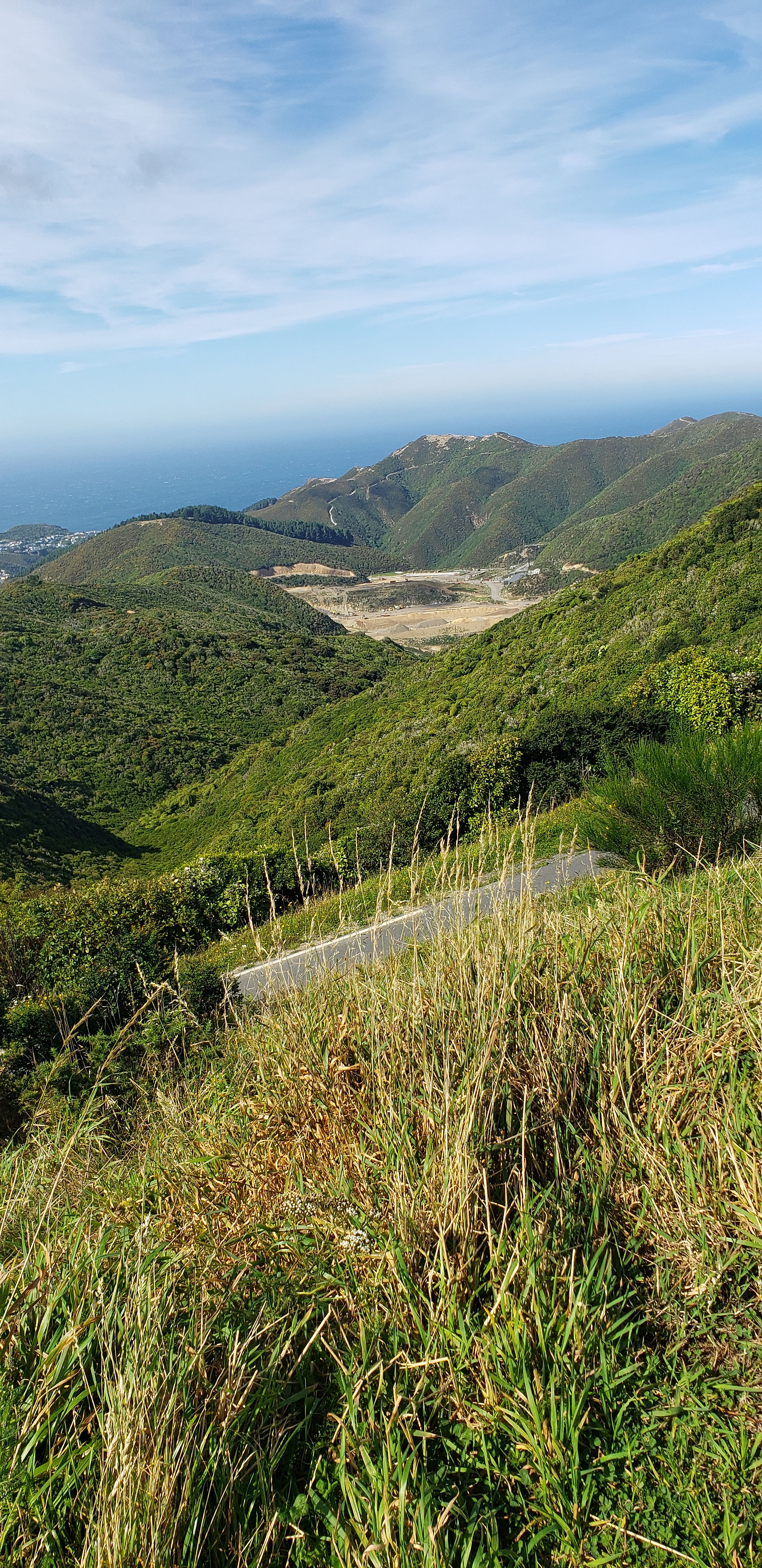 View of Wellington