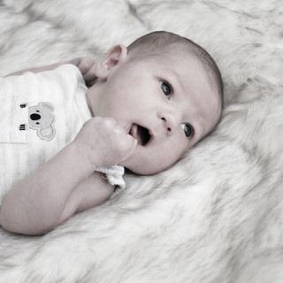 Baby