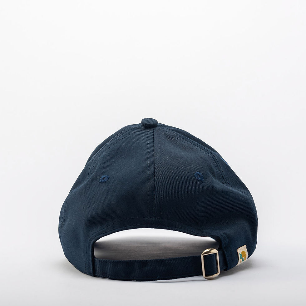 Thumbnail: Embroidered Cap - Ducks