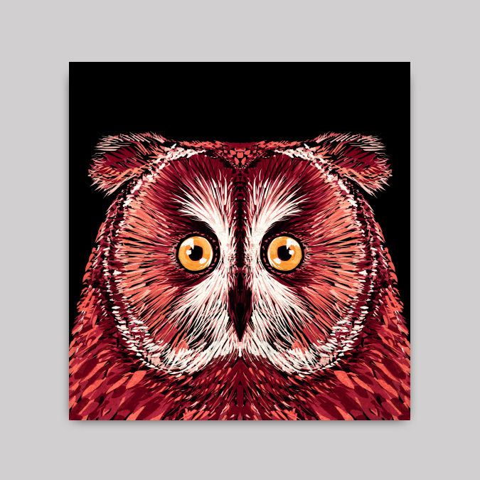 Thumbnail: Owl - Art Prints (8 x 8)in