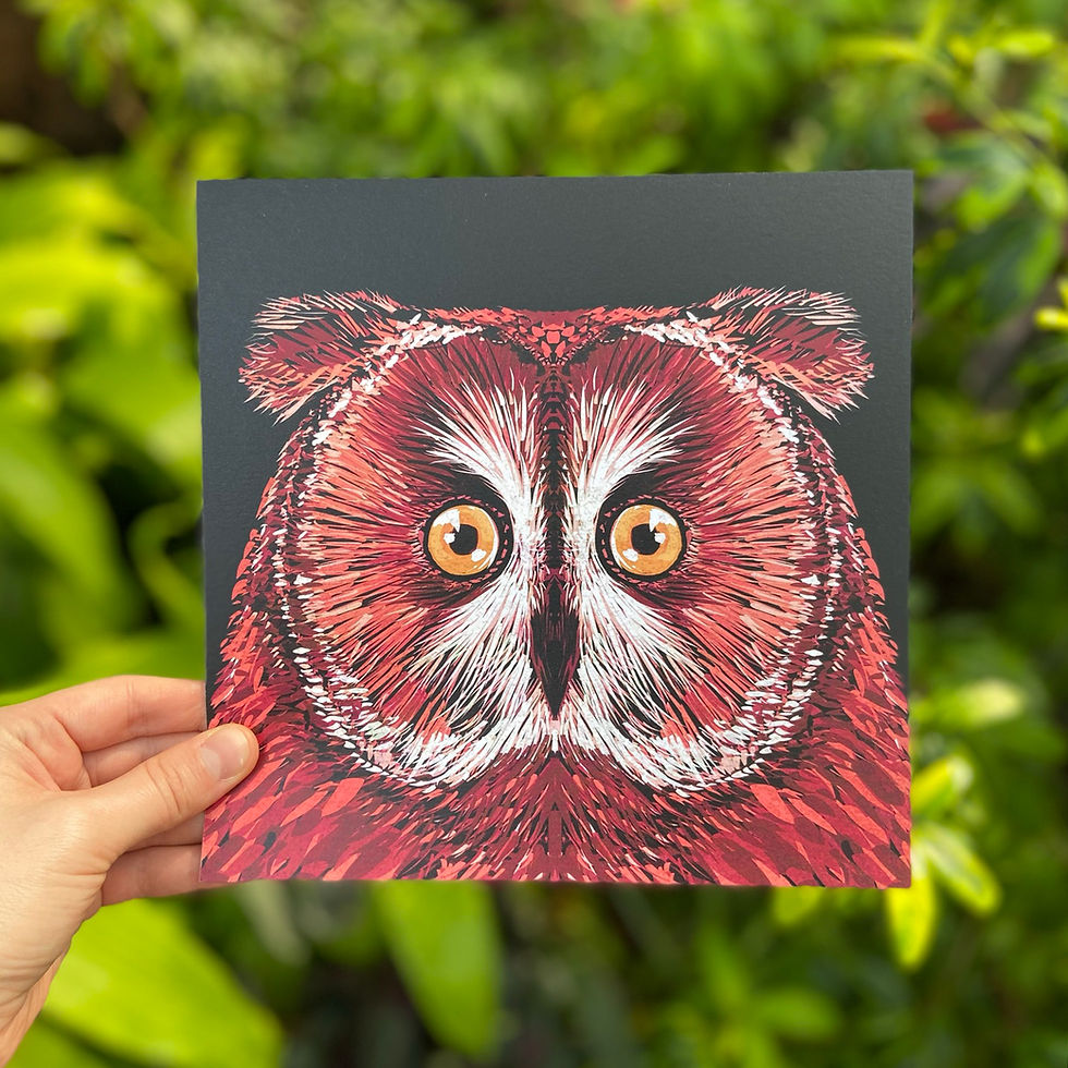 Thumbnail: Owl - Art Prints (8 x 8)in