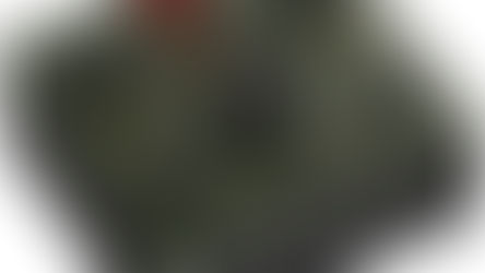 Новый доступный аудио интерфейс - Antelope Audio Zenith 2