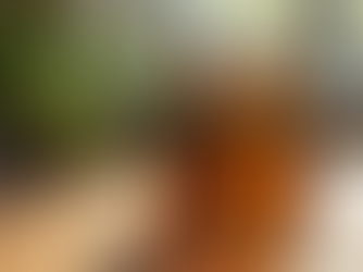 Find Pure Essential Oils Online in India: Your Guide to Pure Oils Shopping India