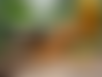 Why Eva Wellness Is Your Trusted Partner