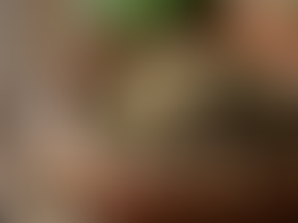 Embracing Women’s Herbal Wellness India: A Natural Path to Vitality