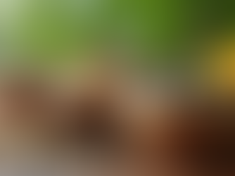 Natural Energy Boosting Supplements: Elevate Your Vitality the Natural Way