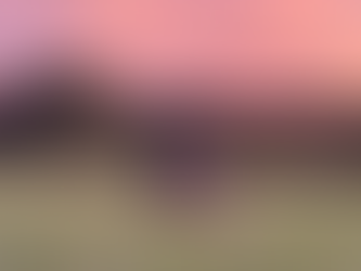 2025/10/8 横浜の探偵日記 〜2,571日目〜