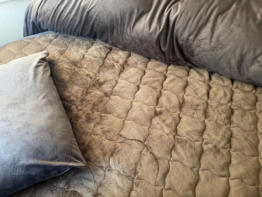 2025/1/29 横浜の探偵日記 〜2,345日目〜