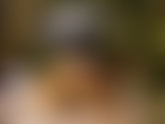 2023/12/21 横浜の探偵日記 ~1,982日目~