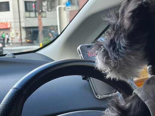 2024/8/23 横浜の探偵日記 〜2,195日目〜